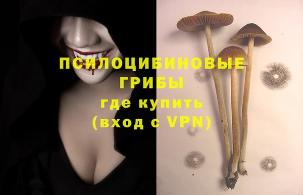 героин Алзамай