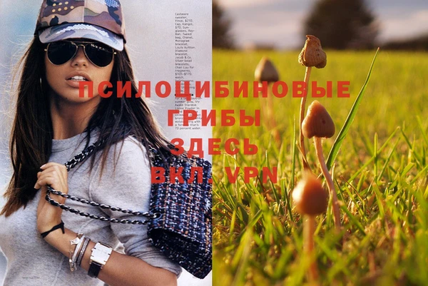 героин Алзамай