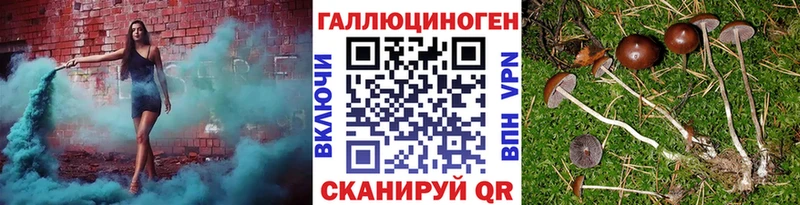 Псилоцибиновые грибы Magic Shrooms  omg зеркало  shop наркотические препараты  Октябрьск 